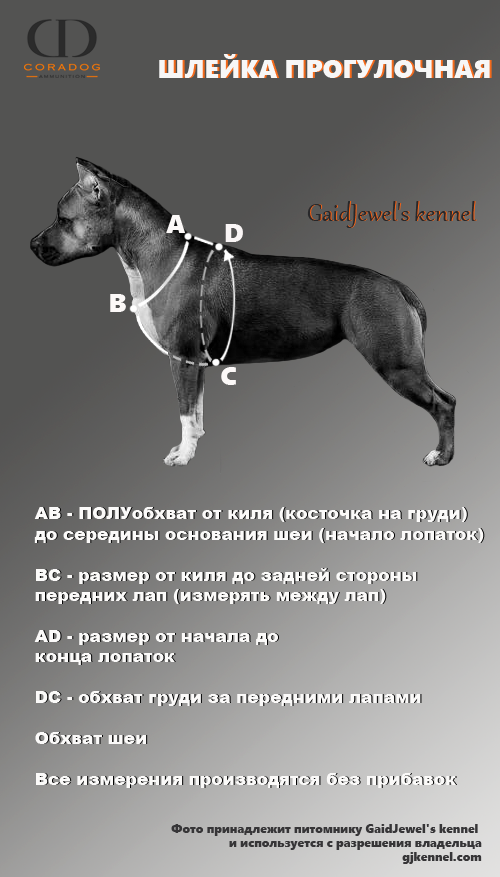 Кошачья шлейка схема