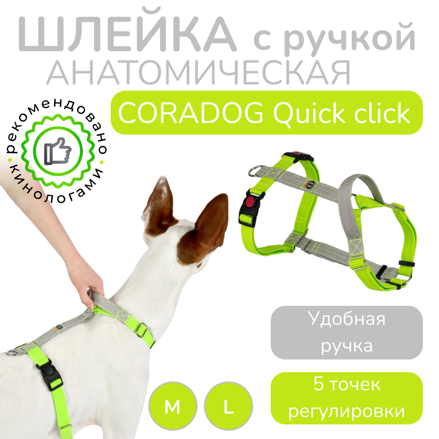 Шлейка с ручкой прогулочная анатомическая CORADOG Quick click, цвет серебристый cерый, салатовый