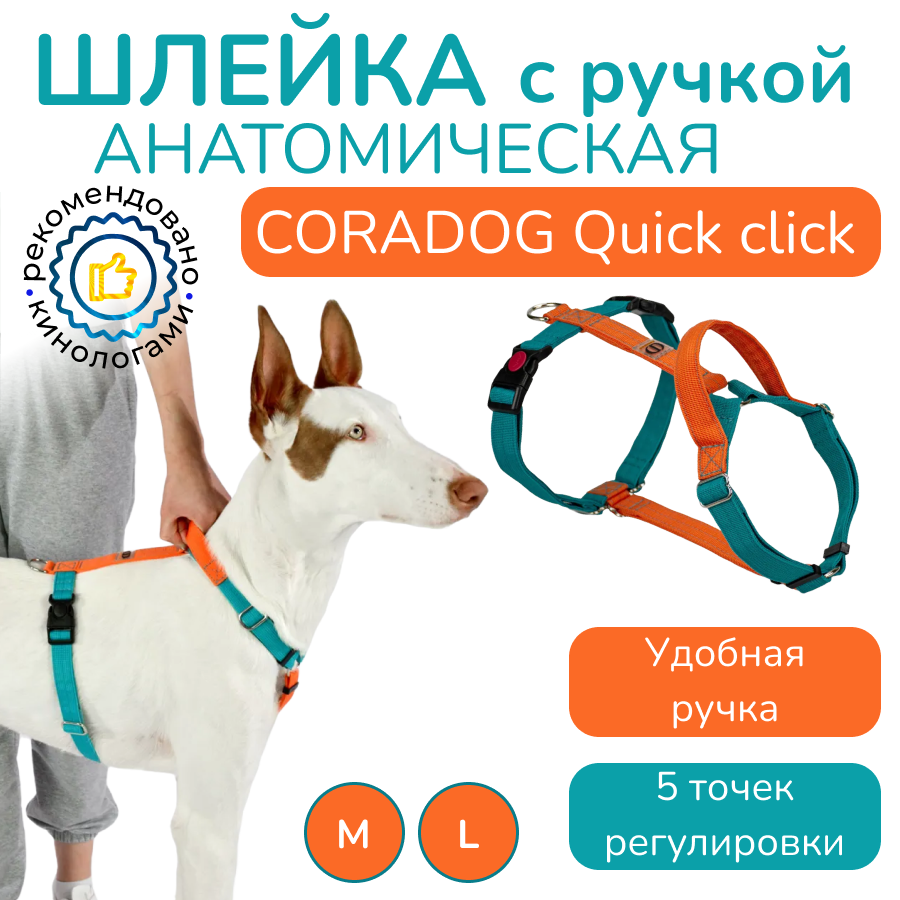 Шлейка с ручкой прогулочная анатомическая CORADOG Quick click, цвет бирюзовый, оранжевый