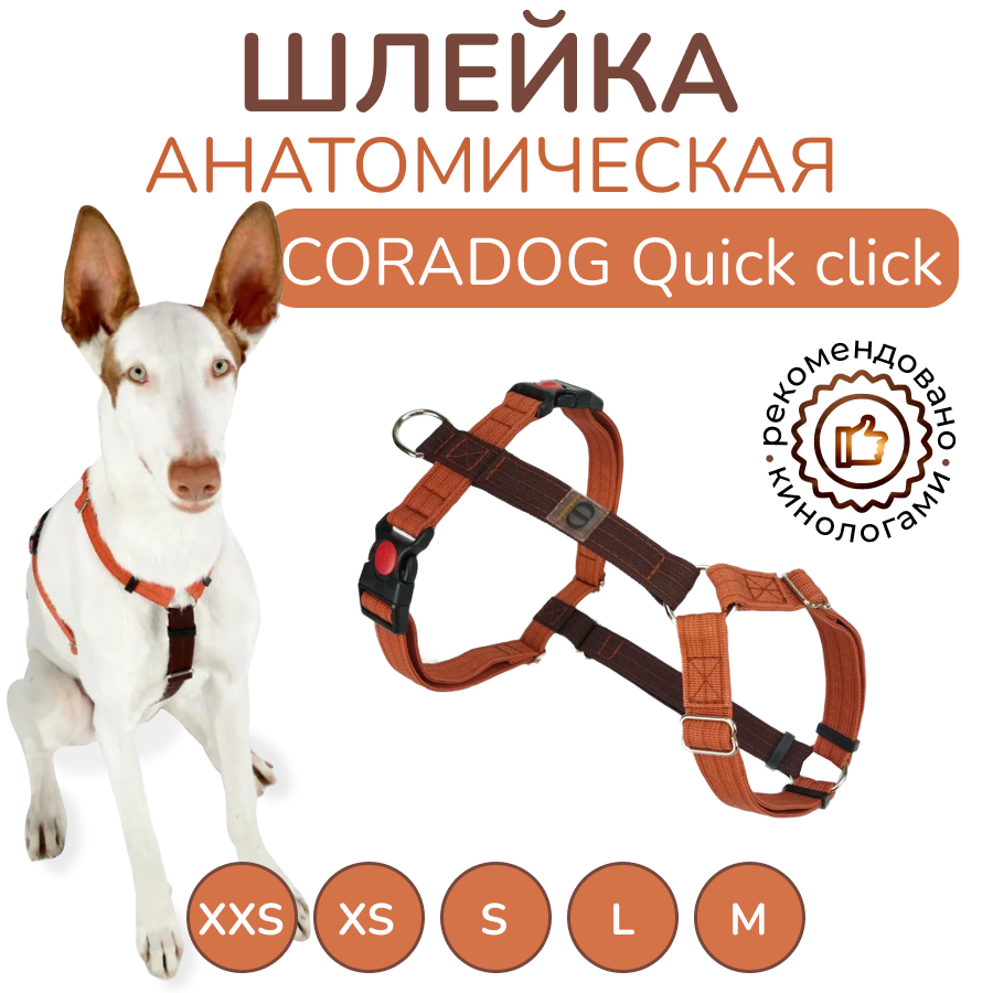 Шлейка прогулочная анатомическая CORADOG Quick click, цвет терракотовый, махагон коричневый