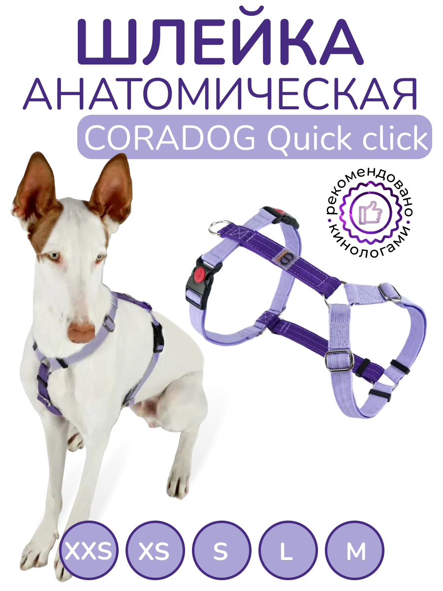 Шлейка прогулочная анатомическая CORADOG Quick click, цвет фиолетовый, лавандовый