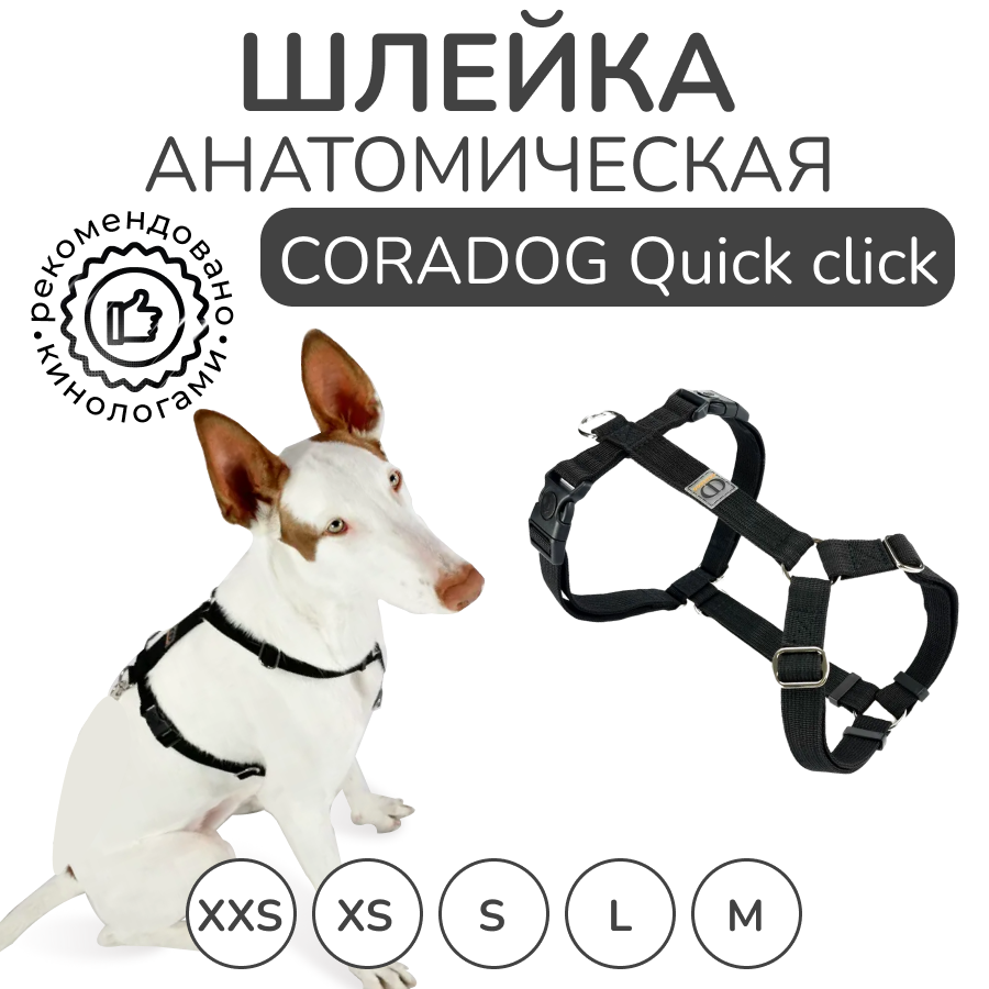 Шлейка прогулочная анатомическая CORADOG Quick click, цвет черный