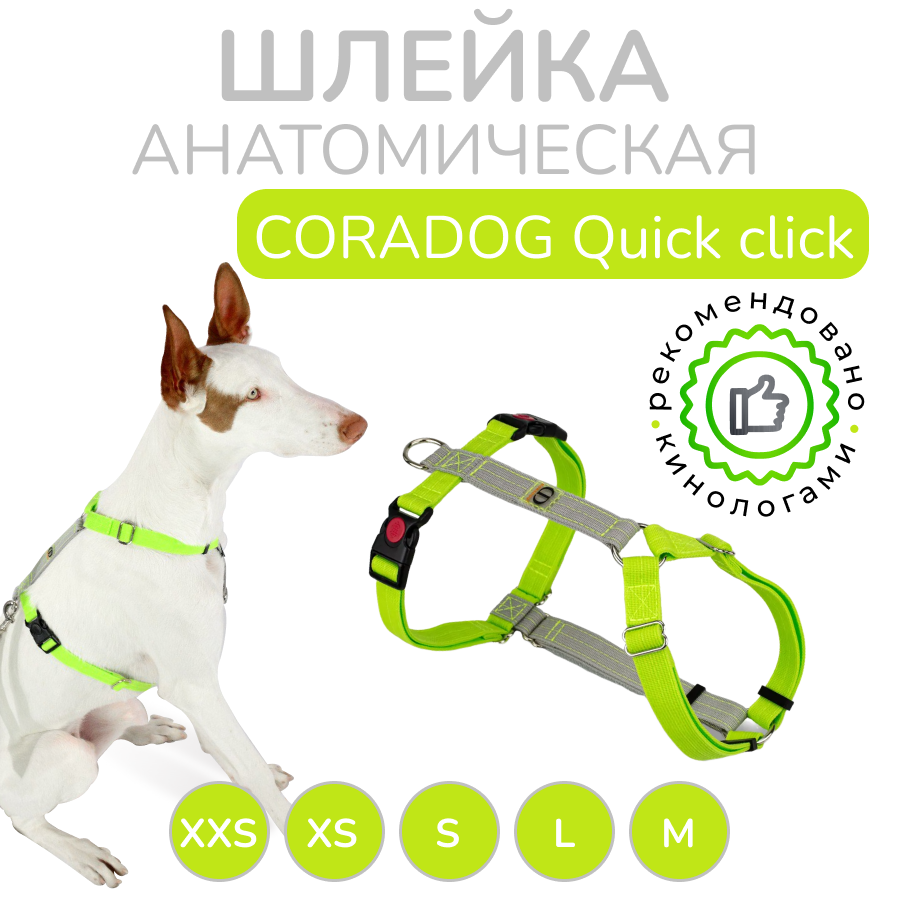 Шлейка прогулочная анатомическая CORADOG Quick click, цвет серебристый cерый, салатовый