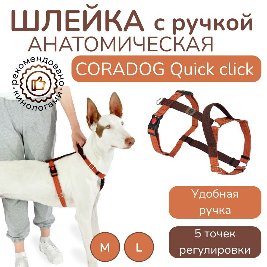 Шлейка с ручкой прогулочная анатомическая CORADOG Quick click, цвет терракотовый, махагон коричневый