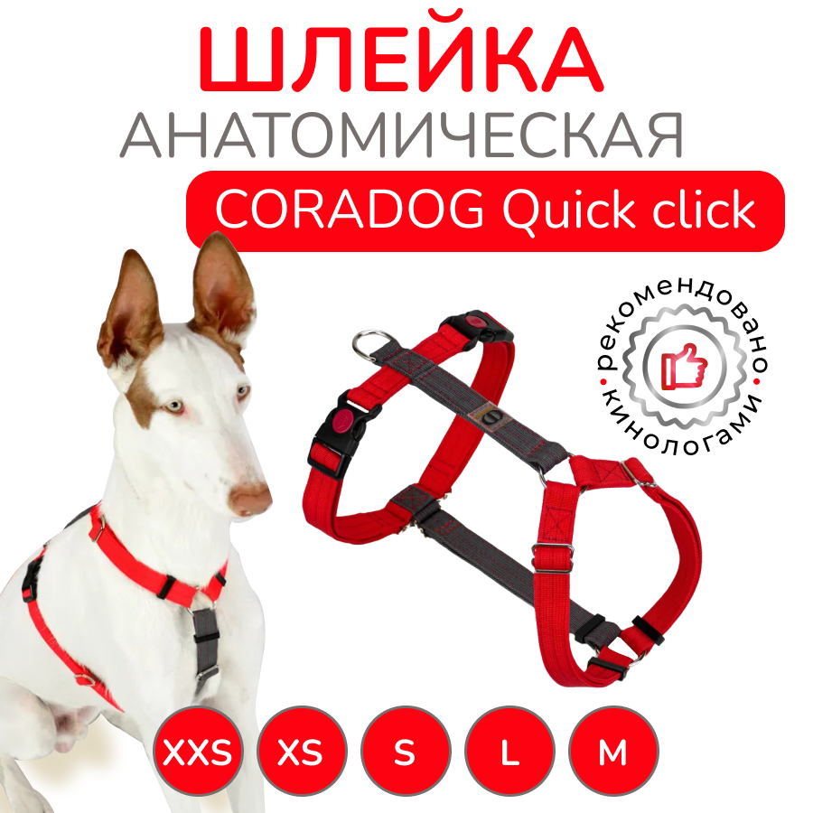 Шлейка прогулочная анатомическая CORADOG Quick click, цвет красный, антрацитовый