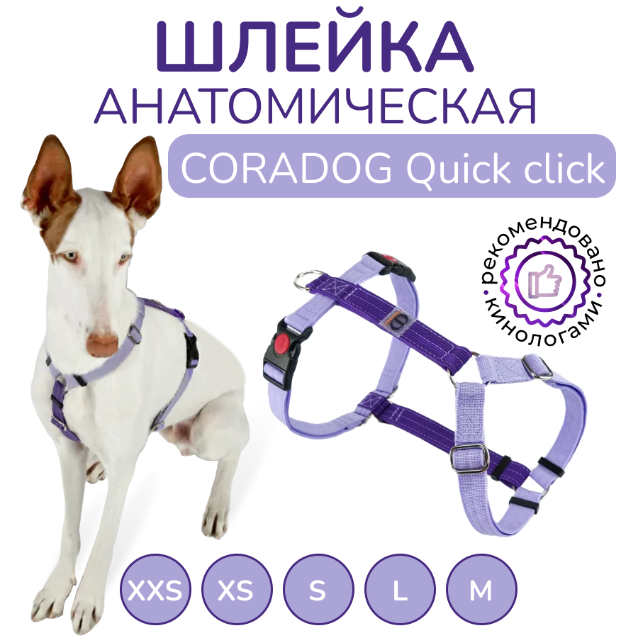 Шлейка прогулочная анатомическая CORADOG Quick click, цвет фиолетовый, лавандовый