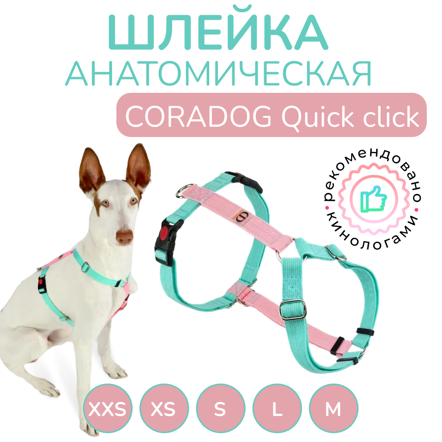 Шлейка прогулочная анатомическая CORADOG Quick click, цвет мятный, розовый леденец