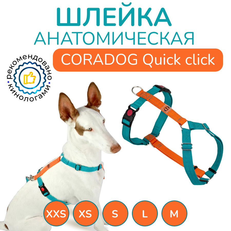 Шлейка прогулочная анатомическая CORADOG Quick click, цвет бирюзовый, оранжевый