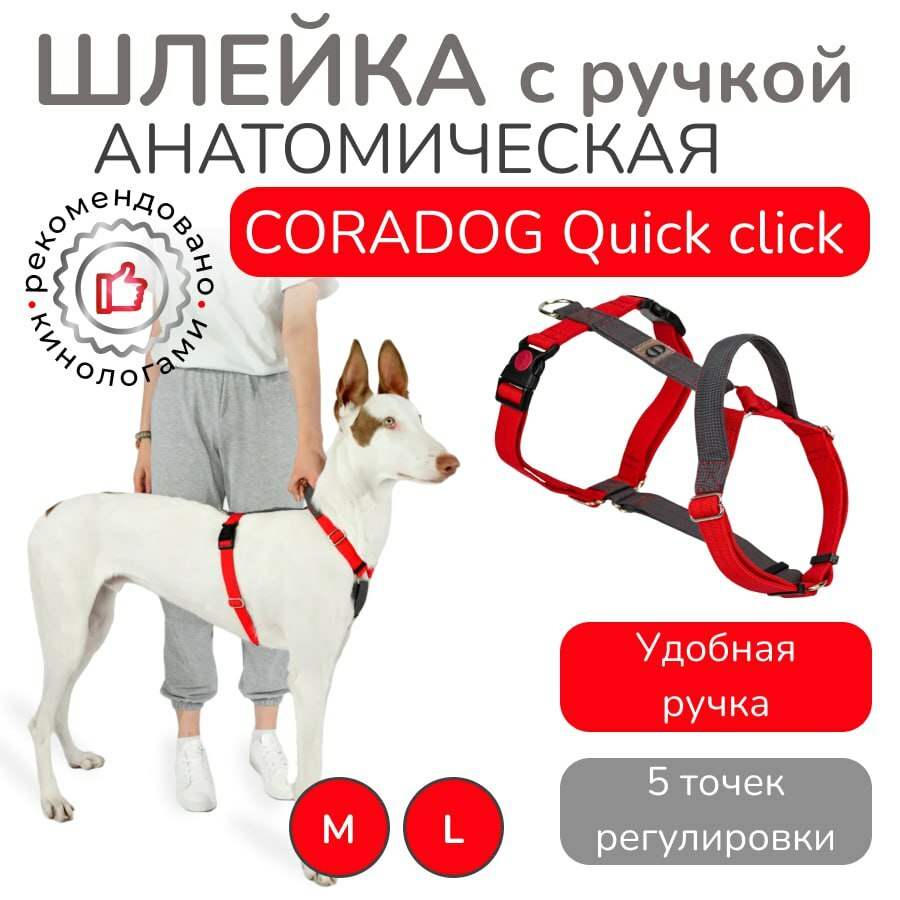 Шлейка с ручкой прогулочная анатомическая CORADOG Quick click, цвет красный, антрацитовый